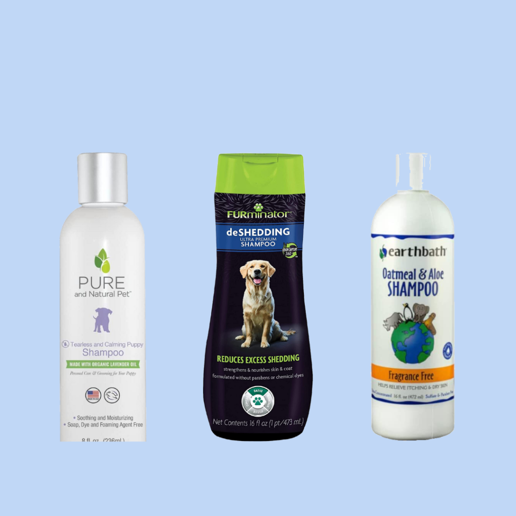 best dog shampoo for small dogs