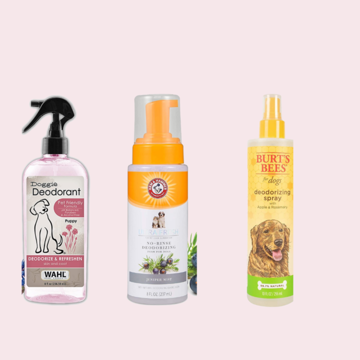 best dog deodorizing spray