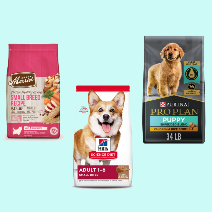 best dog food for small dogs