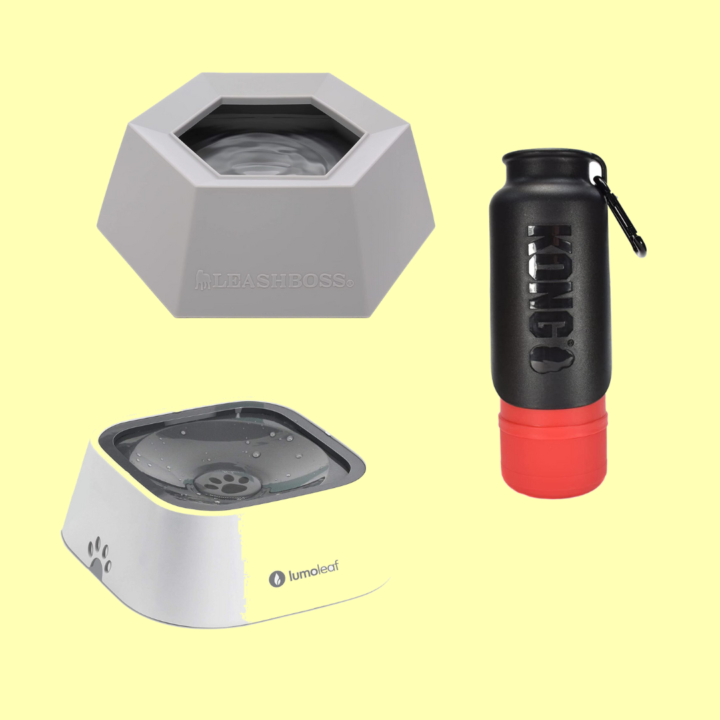 small dog portable water bowl