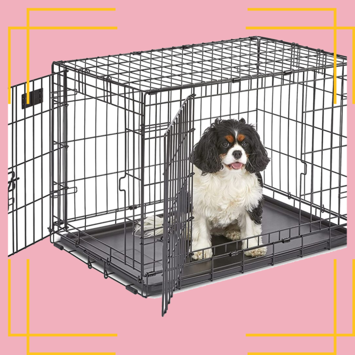 best dog crates for small dogs