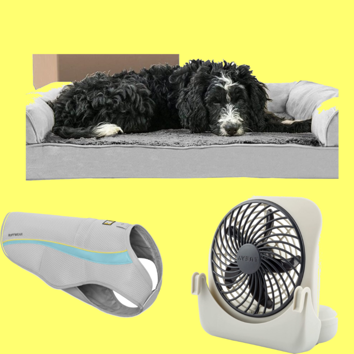 cooling dog accessories