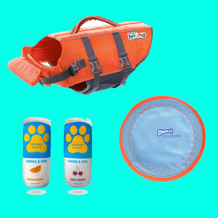 beach accessories for dogs