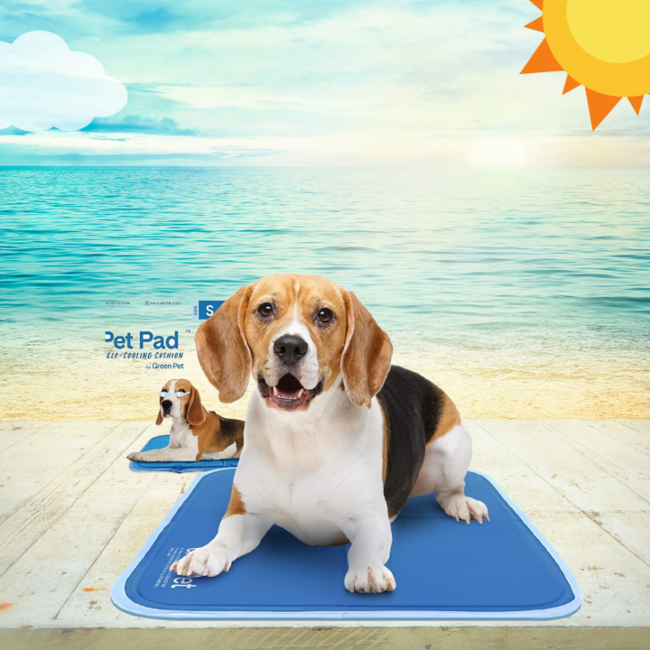 cooling bed for dogs