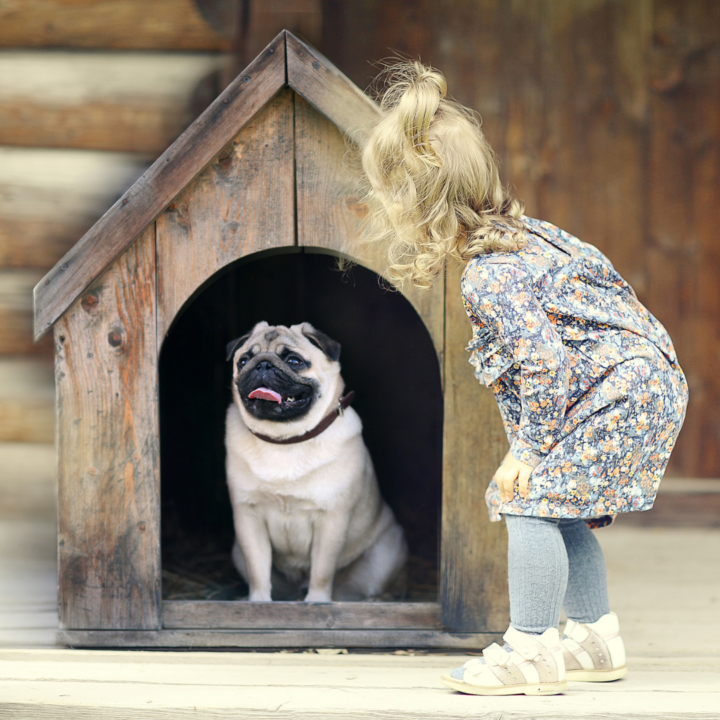 warm dog houses for winter