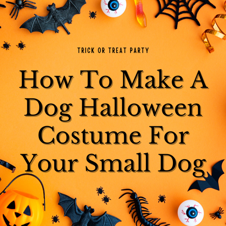 how to make a dog halloween costume